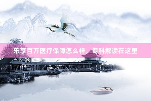 乐享百万医疗保障怎么样，专科解读在这里